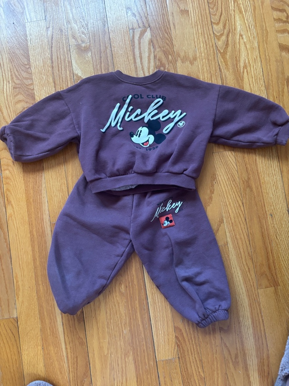 Zara Kids Matching Mickey Set in Plum Brown